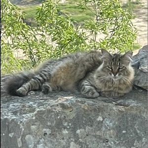 Meet your Posher, Sharon